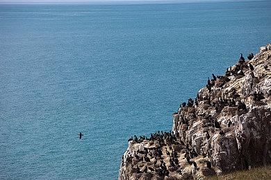 复古风CRPG《地狱仆从》今日开售 Steam首周特卖